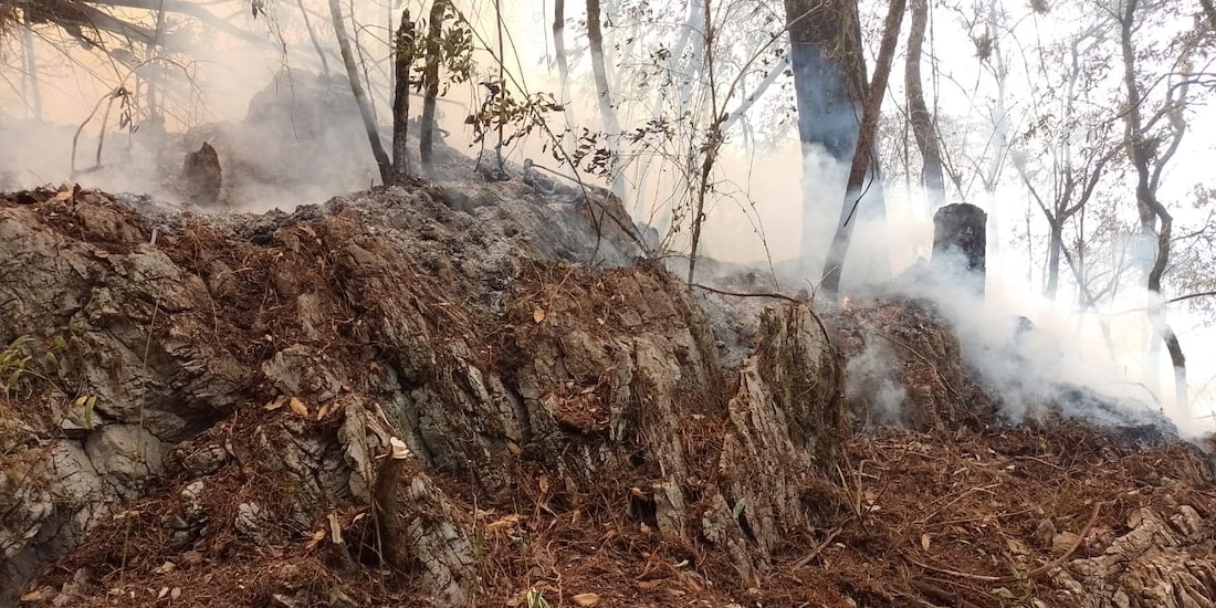 Incendio forestal en la reserva "El Cielo" en Tamaulipas