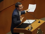 Ricardo Anaya, coordinador de los senadores del PAN