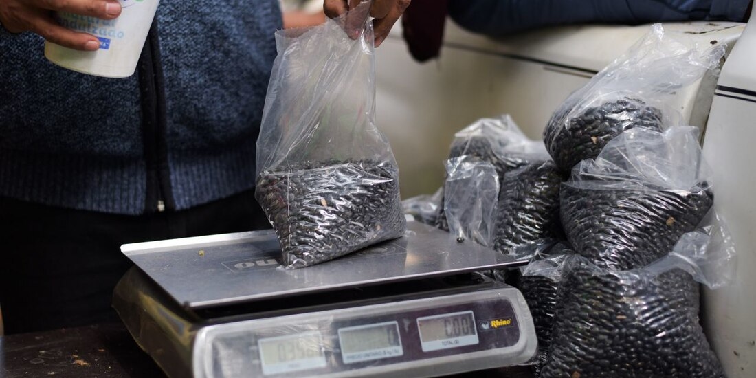 Precio del frijol sube 27% en último año