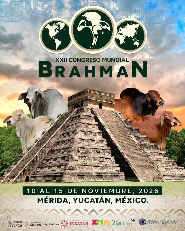 El Congreso Mundial de Brahman fortalecerá la proyección internacional de Mérida como polo pecuario.