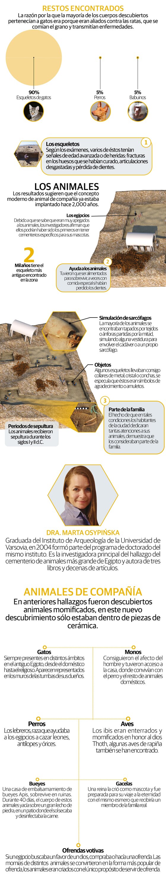 El panteón pet más antiguo es descubierto en Egipto