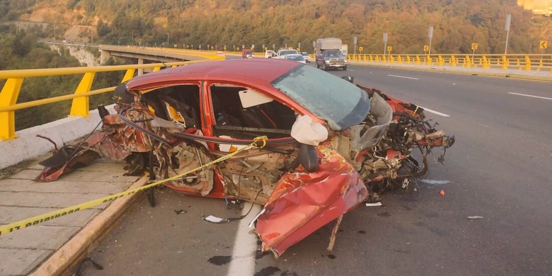 El automóvil donde un hombre y su perro perdieron la vida, quedó destrozado.