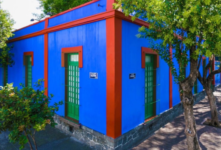 Exposición Museo Frida Kahlo