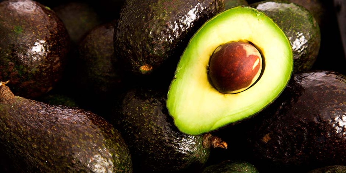 Ven riesgo para 400 mil familias pausar venta de aguacate a EU