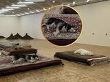 La exposición "Casts" causó indignación porque incluye animales reales.