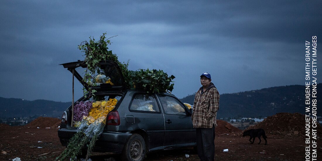 Imagen de la serie Hermoso veneno, de Christopher Rogel Blanquet.