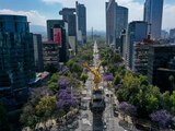 CIUDAD DE MÉXICO, 05MARZO2021.- Los árboles de jacaranda esparcidos a lo largo de la ciudad comienzan a florecer, hecho que anuncia la llegada de la primavera a nuestro país. Esta temporada de calor será aún más intensa pues se estima que en la capital del país las temperaturas alcanzarán hasta los 30 grados centígrados. Las autoridades recomiendan utilizar bloqueador, así como mantener una buena hidratación para evitar afectaciones a la salud.
FOTO: GALO CAÑAS/CUARTOSCURO.COM