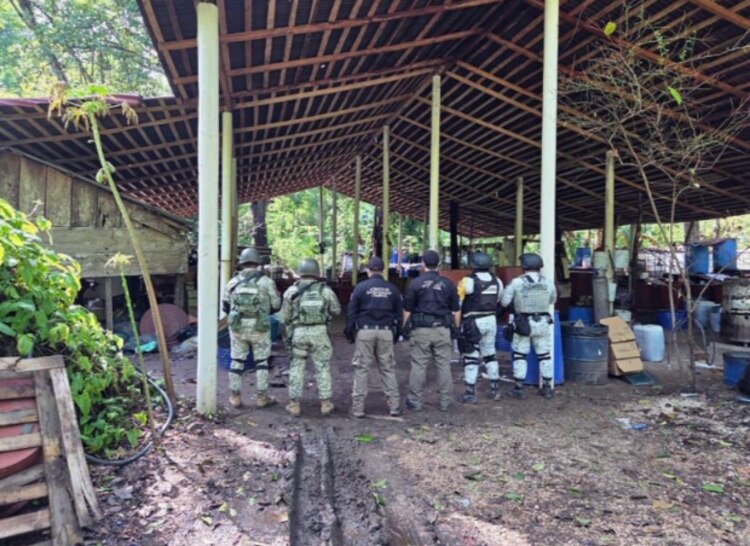Elementos federales aseguraron un narcolaboratorio en Palenque. En la esquina, el detenido Alfonso Villa, ayer.