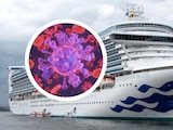 Esto se sabe el brote de norovirus que dejó más de 100 contagiados en el crucero Caribbean Princess.
