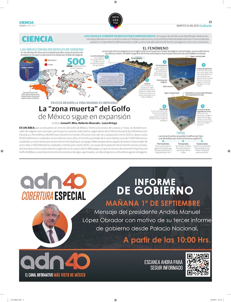 La “zona muerta” del Golfo de México sigue en expansión