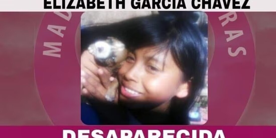 En Sinaloa, desapareció la sobrina de Ceci Flores, líder de las Madres Buscadoras de Sonora, luego de que presuntamente se la llevaron personas encapuchadas.