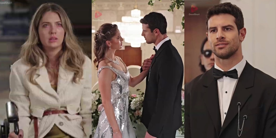 Esta Vez Elegí Al Mafia