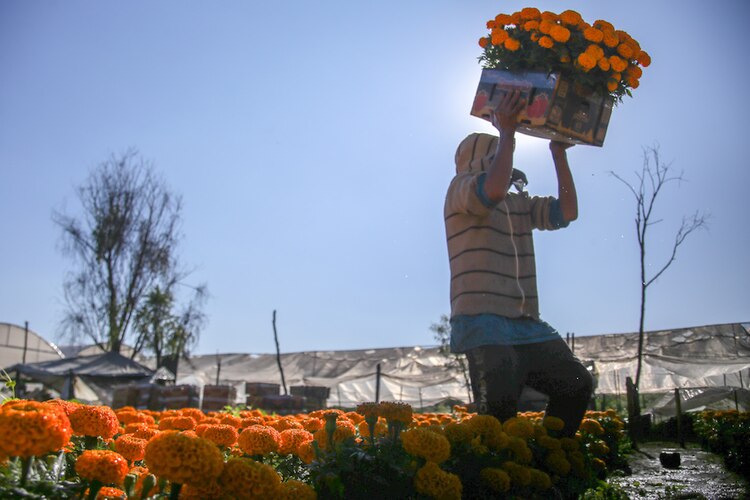 En la producción y venta llegan a participar todos los miembros de una familia.