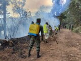 Liquidan incendio de San Bernardo Mixtepec y San Miguel Peras en Oaxaca.