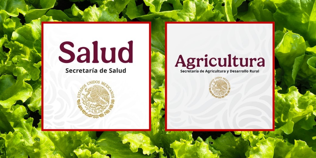 Salud y Agricultura investigan brote de Cyclospora