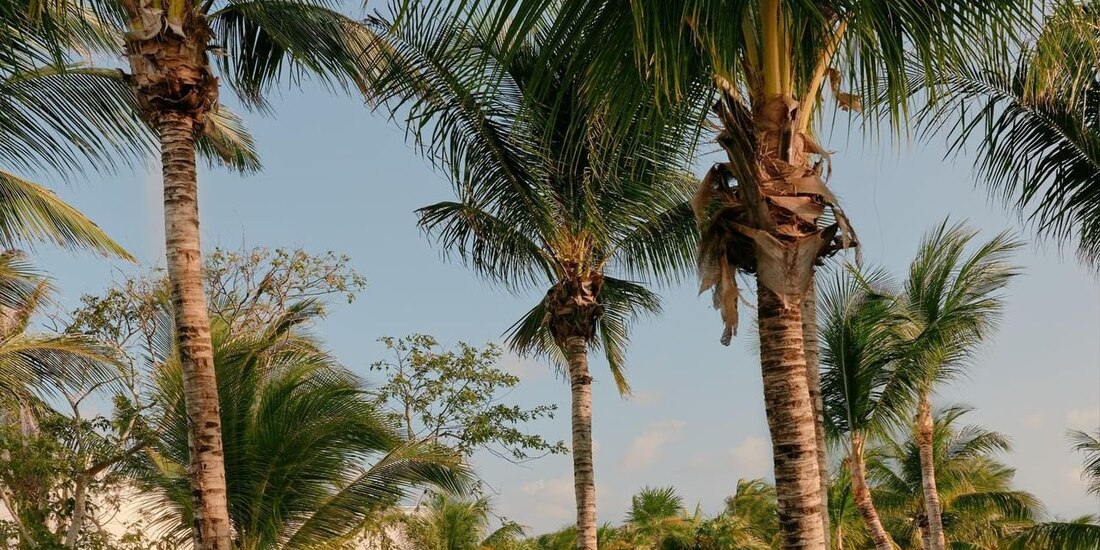 Dos hoteles de Quintana Roo, Esencia y Maroma, destacan entre los 50 mejores del mundo, impulsando la oferta turística local.