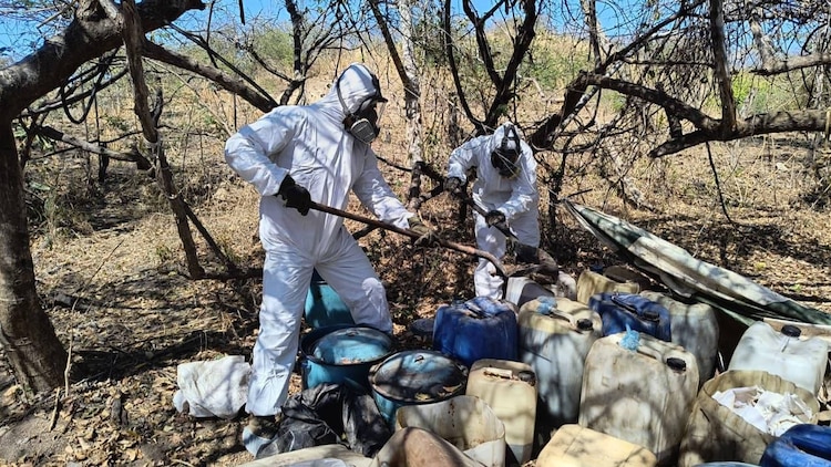 GR y Marina desmantelan laboratorio clandestino en Cosalá, bastión de “Los Chapitos”