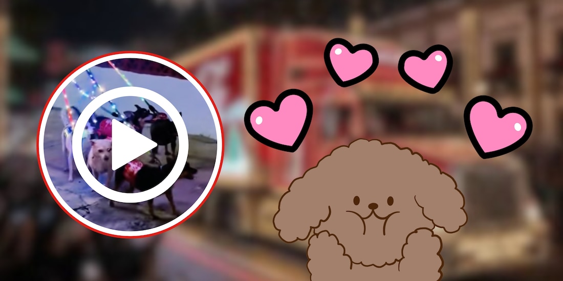 Caravana Coca Cola de perritos