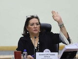 Guadalupe Taddei Zavala, consejera presidenta del INE