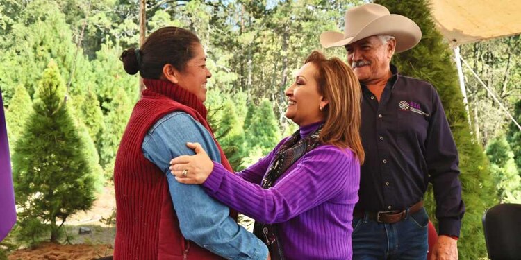 La titular del Ejecutivo local reconoció el esfuerzo de muchos años de quienes se dedican a la producción de árboles navideños