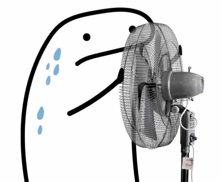 Memes ola de calor.