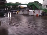 Norte de la CDMX afectado por las fuertes lluvias; reportan encharcamientos y caída de árboles.