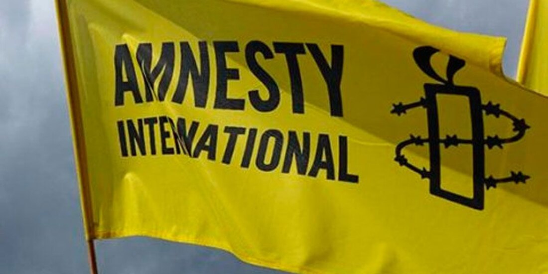 Amnistia Internacional .