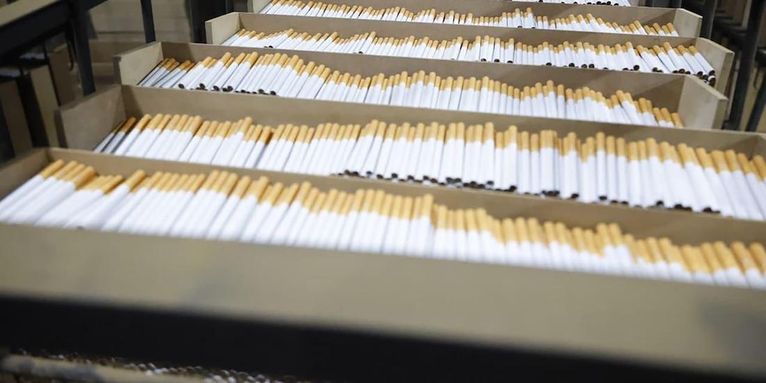Aseguran toneladas de cigarros apócrifos