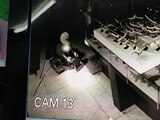 Un criminal captado por las cámaras del museo.