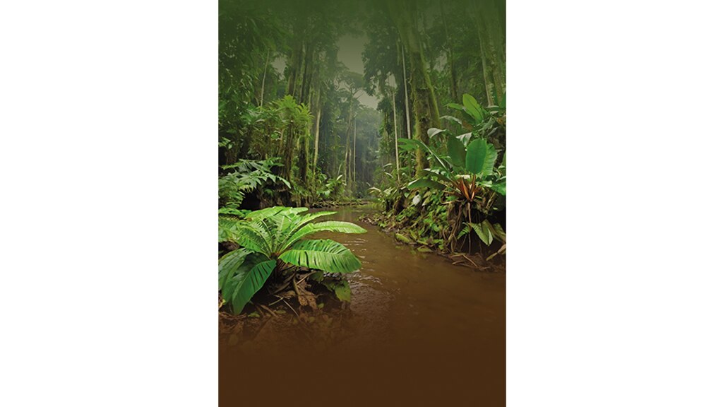 Gran mal. Joca Reiners Terron