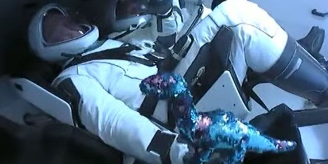 Dinosaurio, el tercer pasajero de Space X