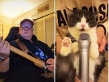 Un gatito canta Crazy Train de Ozzy Osbourne y se vuelve viral en TikTok.