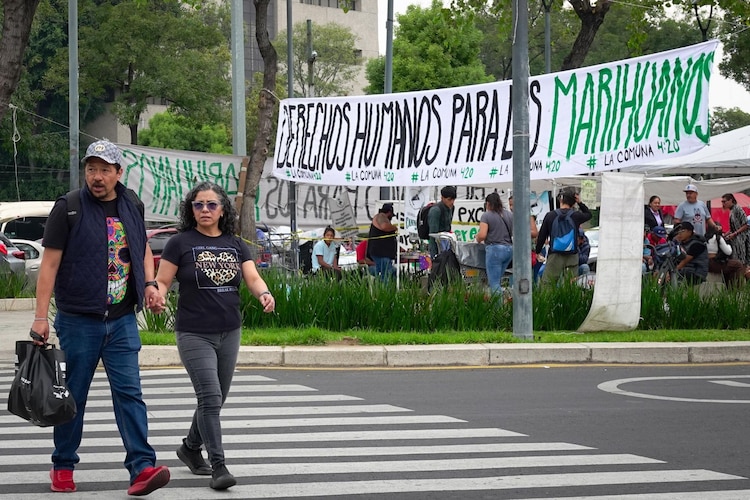 Aspecto de una concentración en las llamadas "zonas libres" para consumo de cannabis en CDMX.