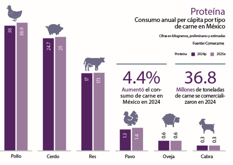 Proteína │ Consumo anual per cápita por tipo de carne en México