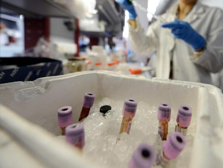 Los embriones humanos se desarrollaron sin necesidad de óvulos o espermas.