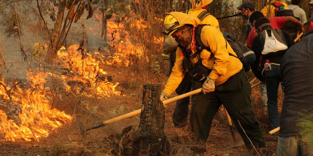 Incendios forestales.