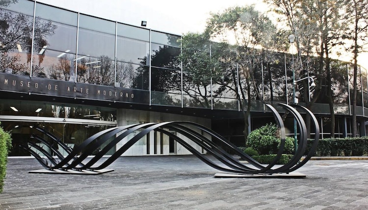 Incidente ocurrió al exterior del Museo de Arte Moderno.