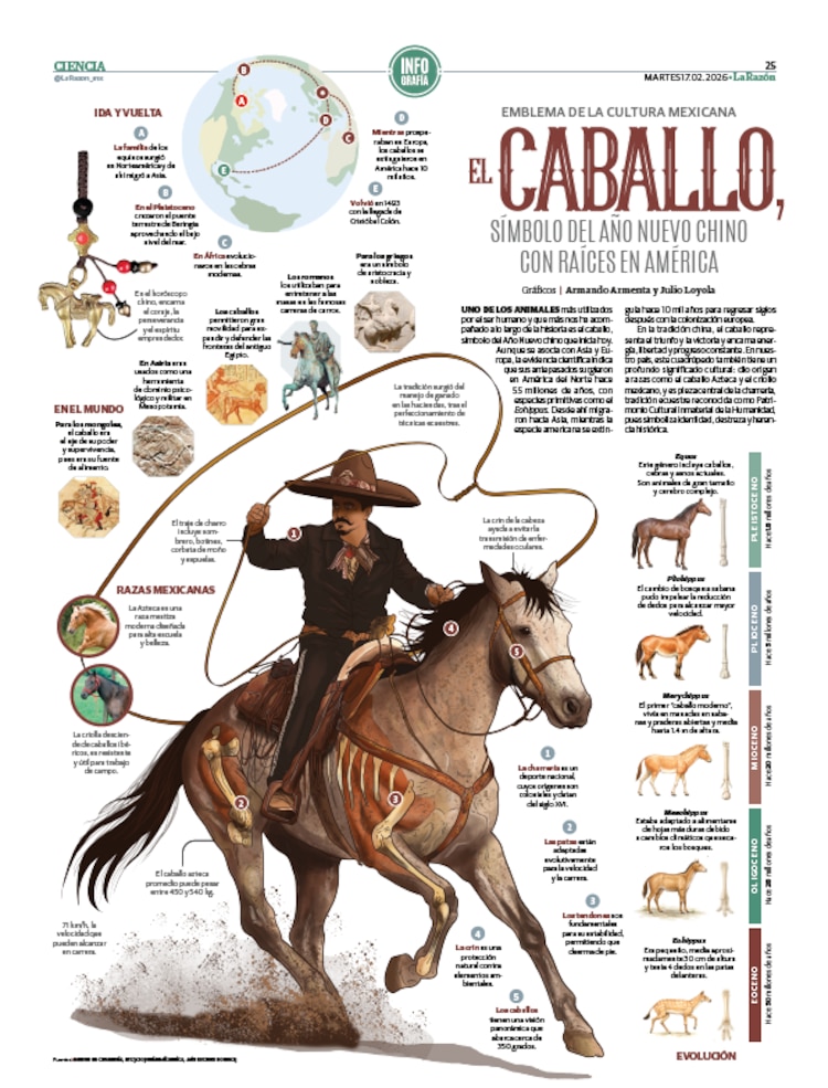 El caballo, símbolo del Año Nuevo chino con raíces en América