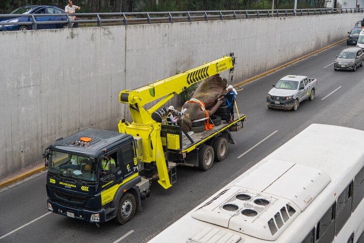 Expertos trabajan en la restauración de la Alegoría, la majestuosa estatua que corona el Arco de la Independencia.
