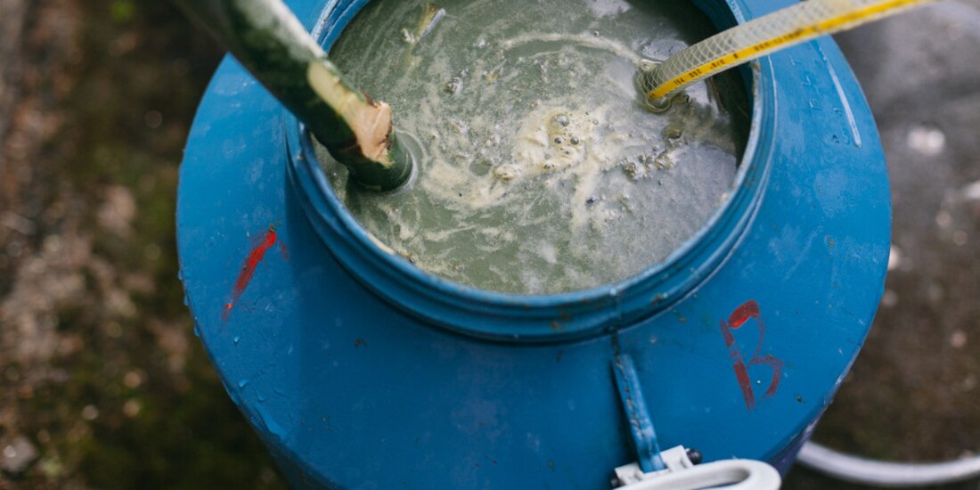 Biofertilizantes disminuyen 50% uso de químicos y reducen costos de producción hasta de 20%