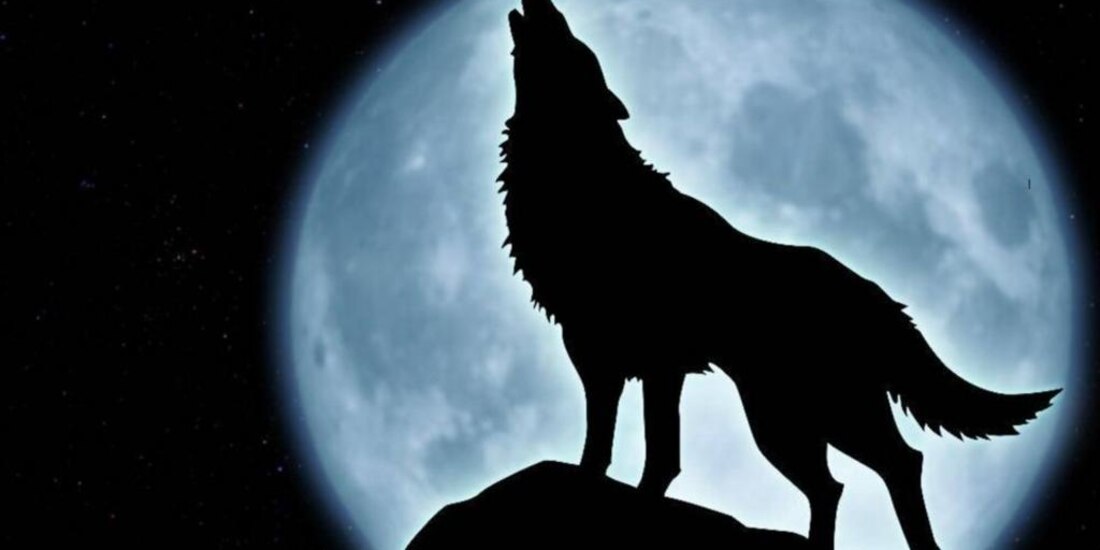 Luna del lobo