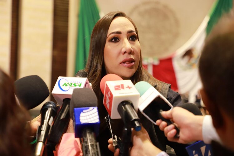 La vicecoordinadora del Grupo Parlamentario del PAN en la Cámara de Diputados, Noemí Berenice Luna Ayala