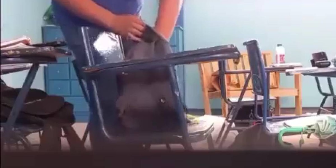 El docente fue capturado en video