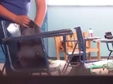 El docente fue capturado en video