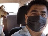 Taxista de la CDMX permite a sus pasajeros viajar con sus mascotas y se vuelve viral en Twitter.