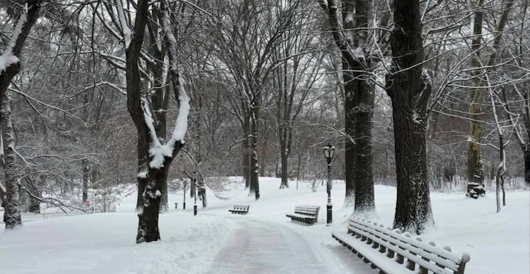 Tormenta invernal New York