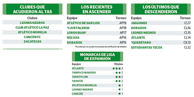 Sin ascenso matan un semillero del futbol mexicano: Rubén Guerrero