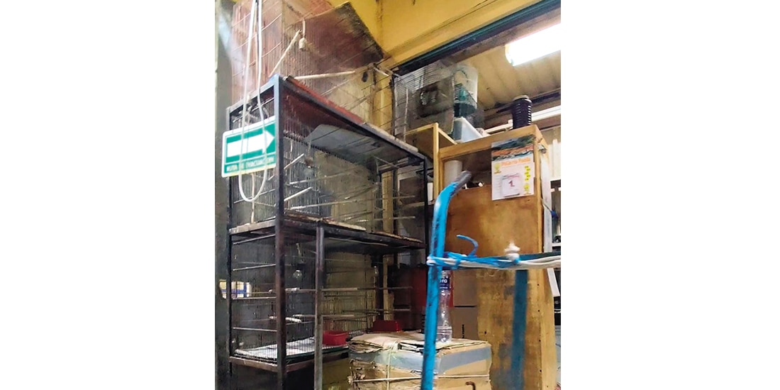 Jaulas vacías había en algunos locales del Mercado de Sonora, el 2 de enero.