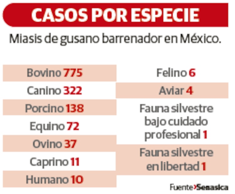 CASOS POR ESPECIE