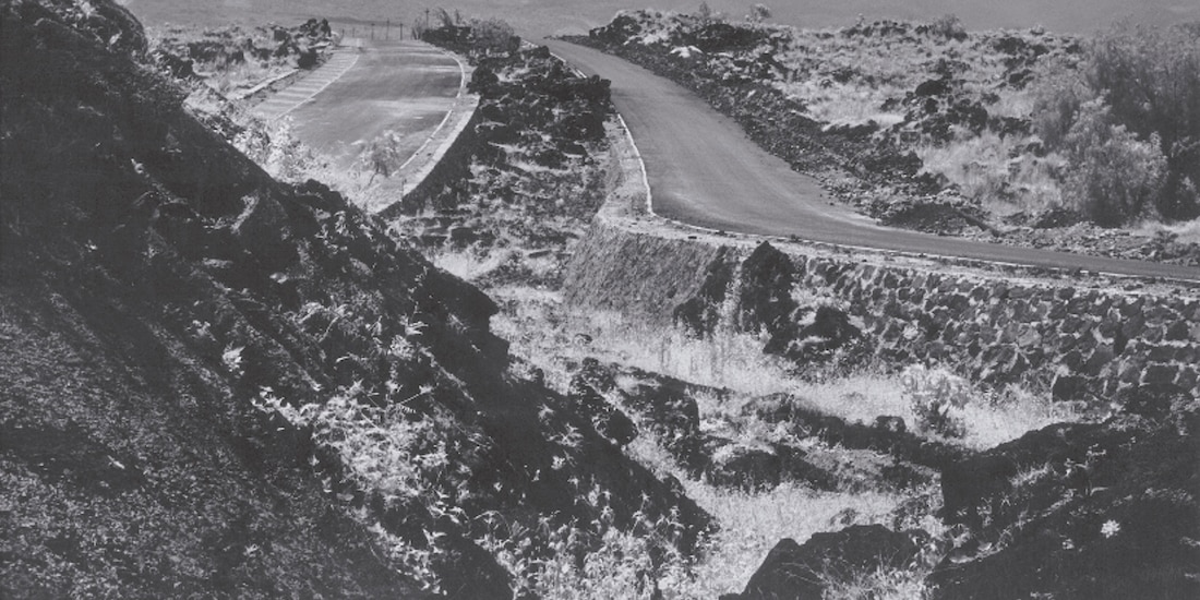 Primeras avenidas de Jardines del Pedregal que retrató Salas Portugal.